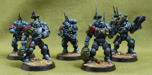 Intercessor Squad set of 5 painted - Space Wolves - Warhammer 40K #5C2