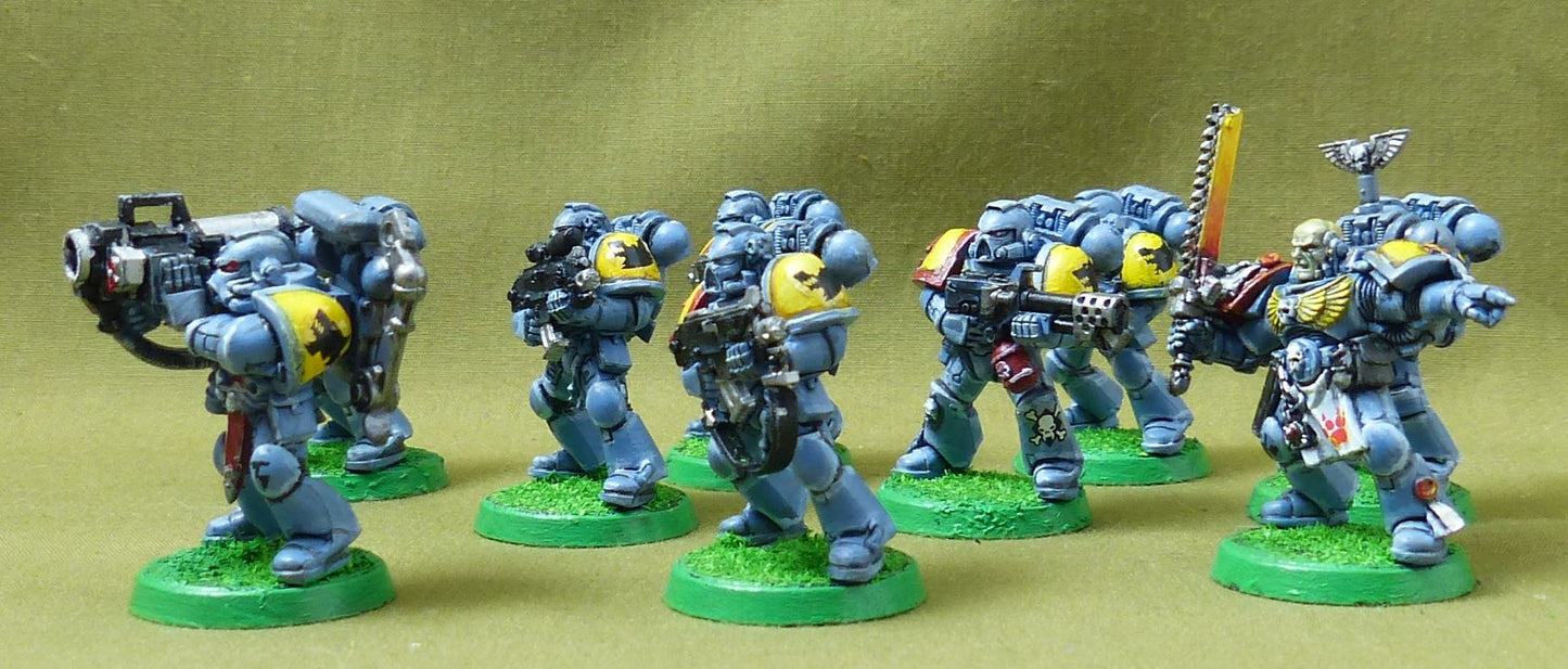 Classic Plastic Space Marines painted - Space Wolves - Warhammer 40K #40T