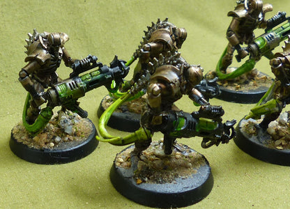 Immortals Painted - Necrons - Warhammer 40K #1QW