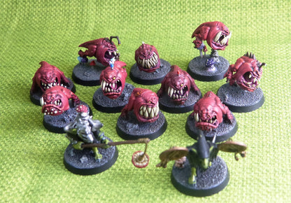 Gllomspite Gitz - Squig Herd and Herders Painted - Warhammer AoS 40k #AX
