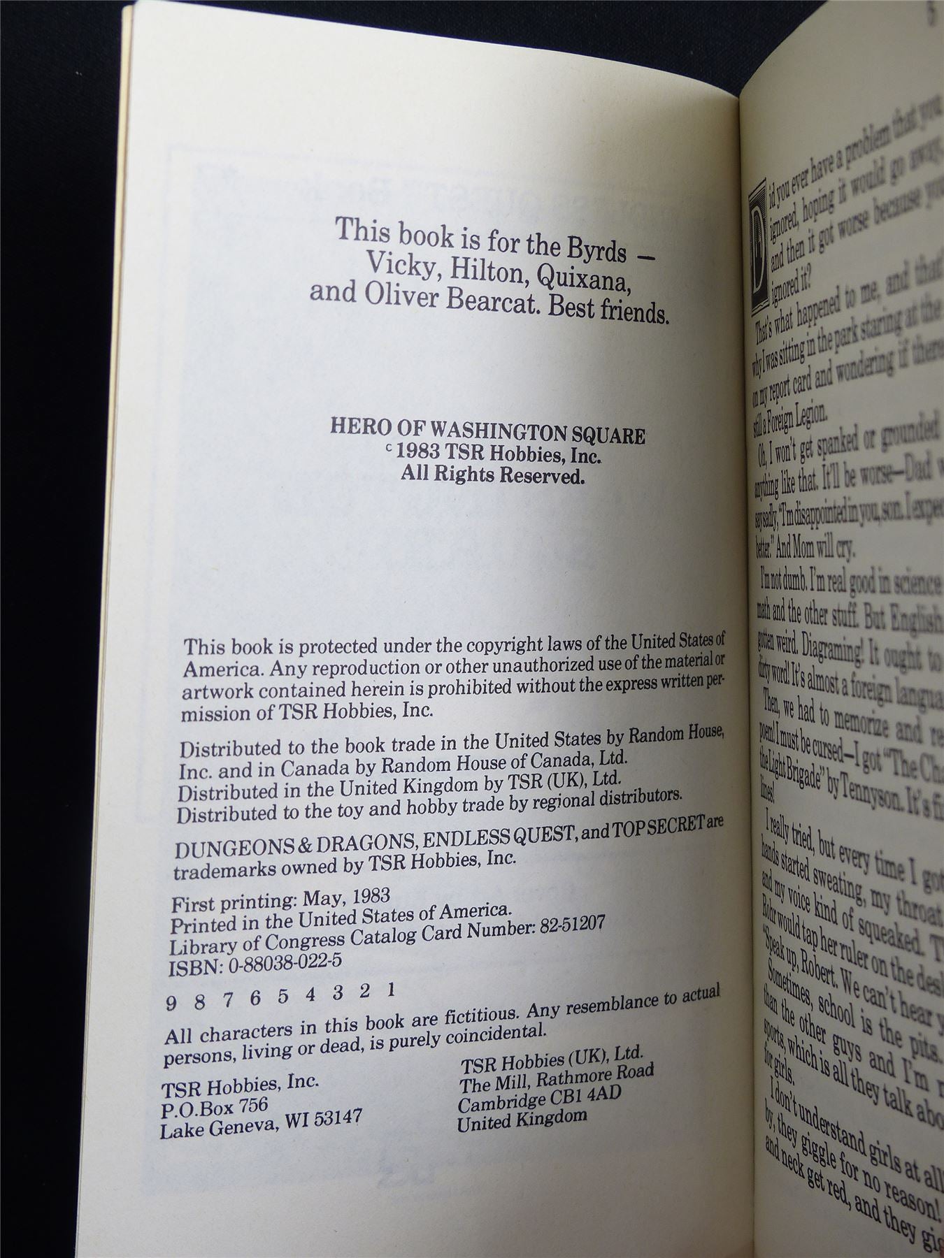 D&D Adventure Book: Hero of Washington Square Endless Quest - Vintage Novel Softback #LW