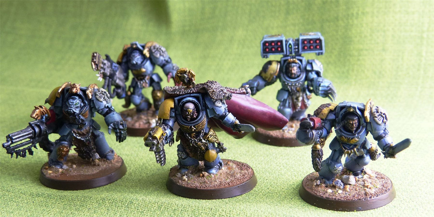 Wolfguard - Terminators Painted - Warhammer AoS 40k #2H