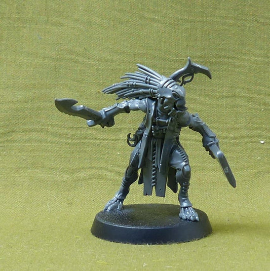 Kroot Flesh Shaper - Tau Empire - Warhammer 40K #HH