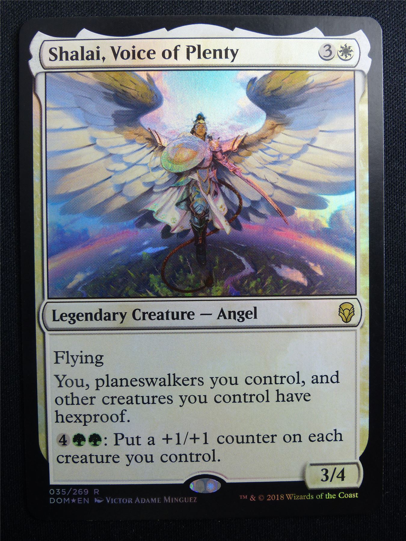 Shalai Voice of Plenty Foil - DOM - Mtg Card #3G8