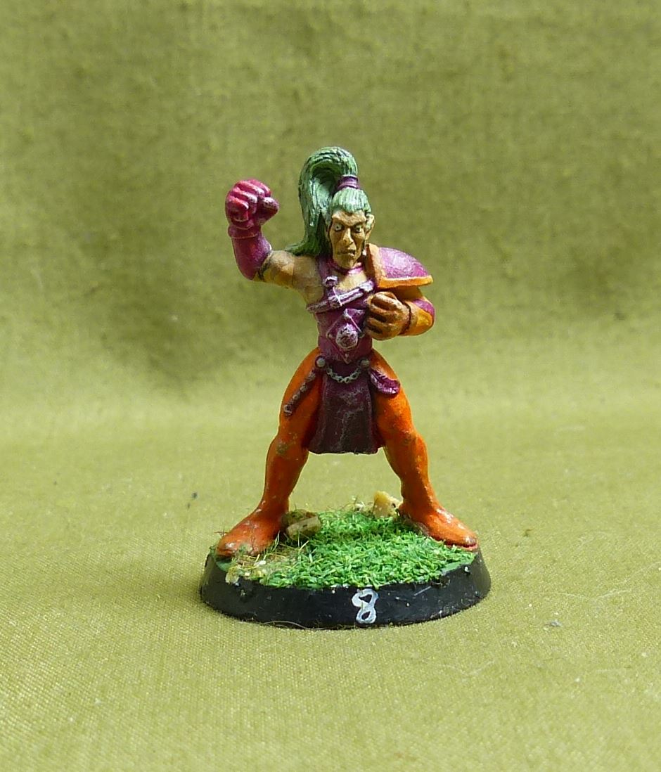 3rd Edition Wood Elves player Classic Metal - Warhammer Blood Bowl #Y3