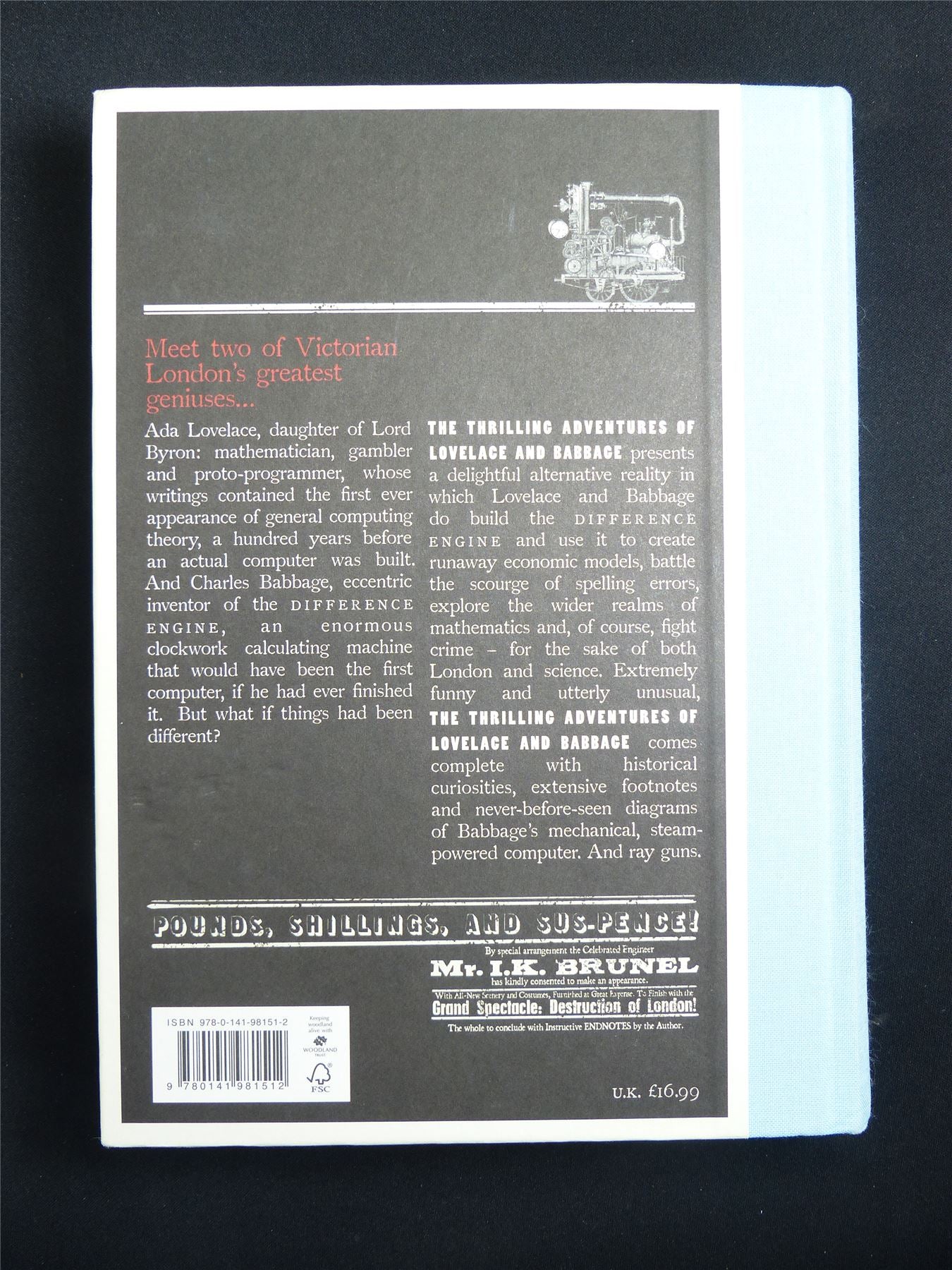 The Thrilling Adventures of Lovelace and Babbage - Particular Books Graphic Hardback #28T