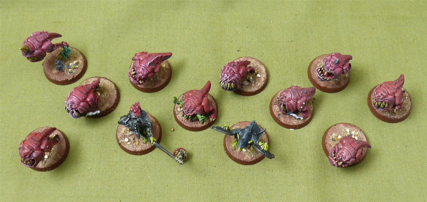 Squig Herd painted - Gloomspite Gitz - Warhammer AoS #2XG