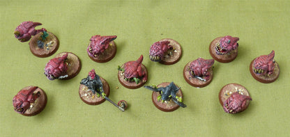 Squig Herd painted - Gloomspite Gitz - Warhammer AoS #2XG