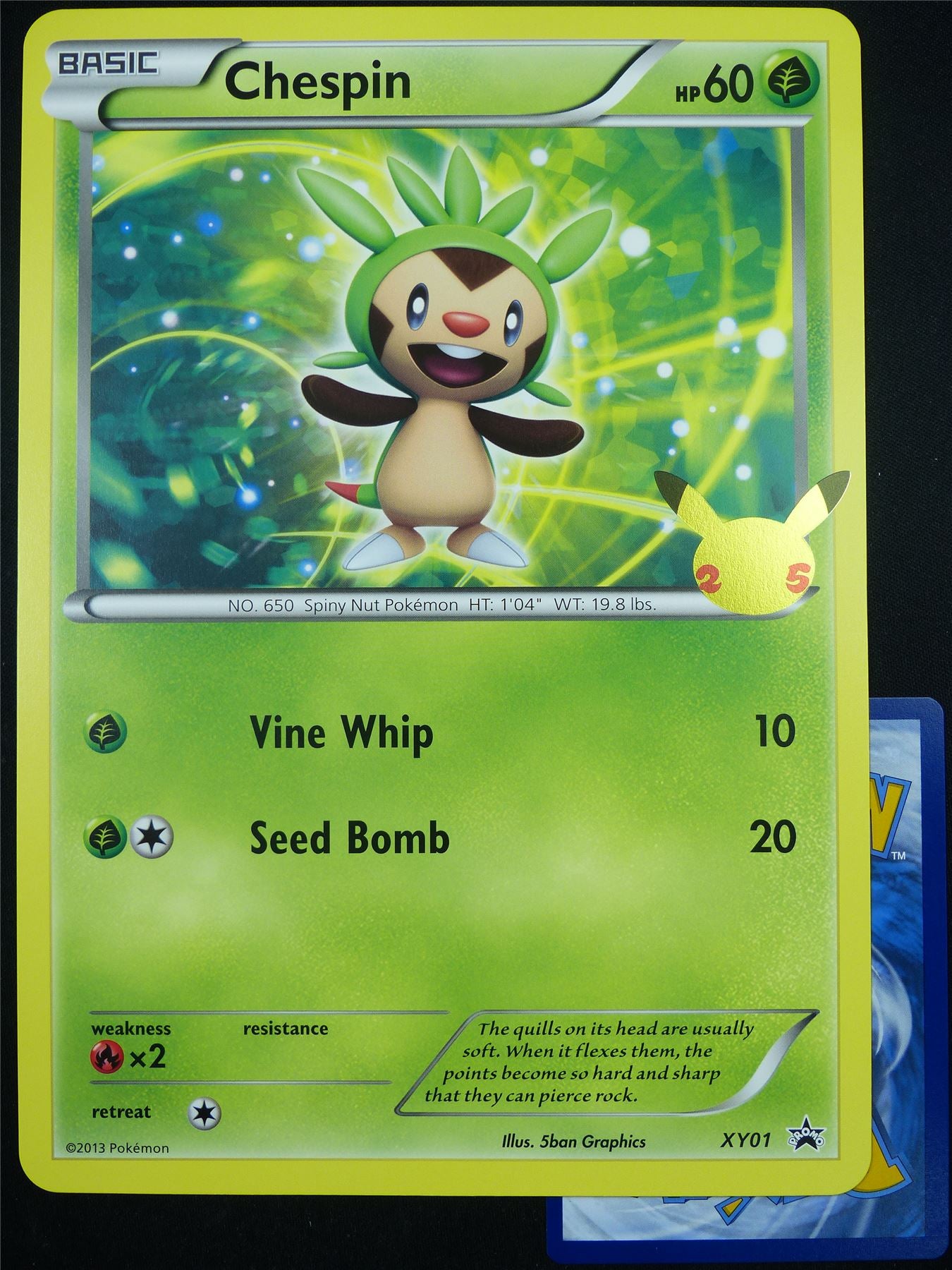 Chespin XY01 25th Celebration Promo - Jumbo Pokemon Card #543