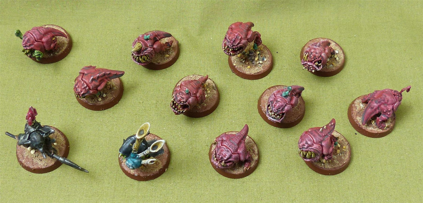 Squig Herd painted - Gloomspite Gitz - Warhammer AoS #2XH
