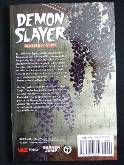 Demon Slayer: Kimetsu no Yaiba volume 2 - Viz Manga #543