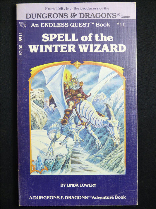 D&D Adventure Book: Spell of the Winter Wizard Endless Quest - Vintage Novel Softback #LQ