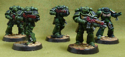 Intercessor Squad set of 5 painted - Space Marines - Warhammer 40K #5BI