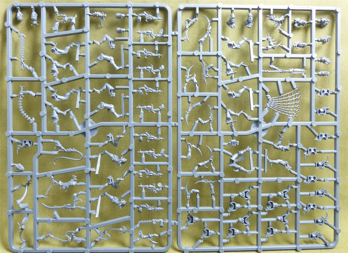 Wyches complete sprue - Drukhari - Warhammer 40K #4CS