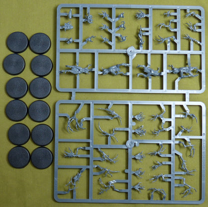 Dryads set of 12 - Sylvaneth - Warhammer AoS #32Q