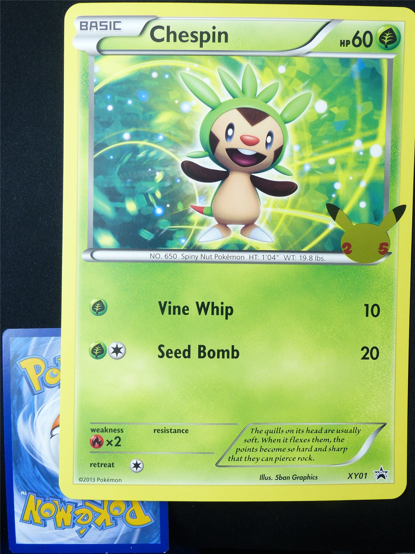 Chespin XY01 Promo - Jumbo Pokemon Card #254