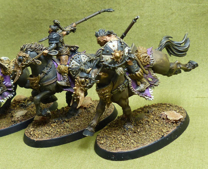 Darkoath Fellriders painted - Slaves to Darkness - Warhammer AoS #17D