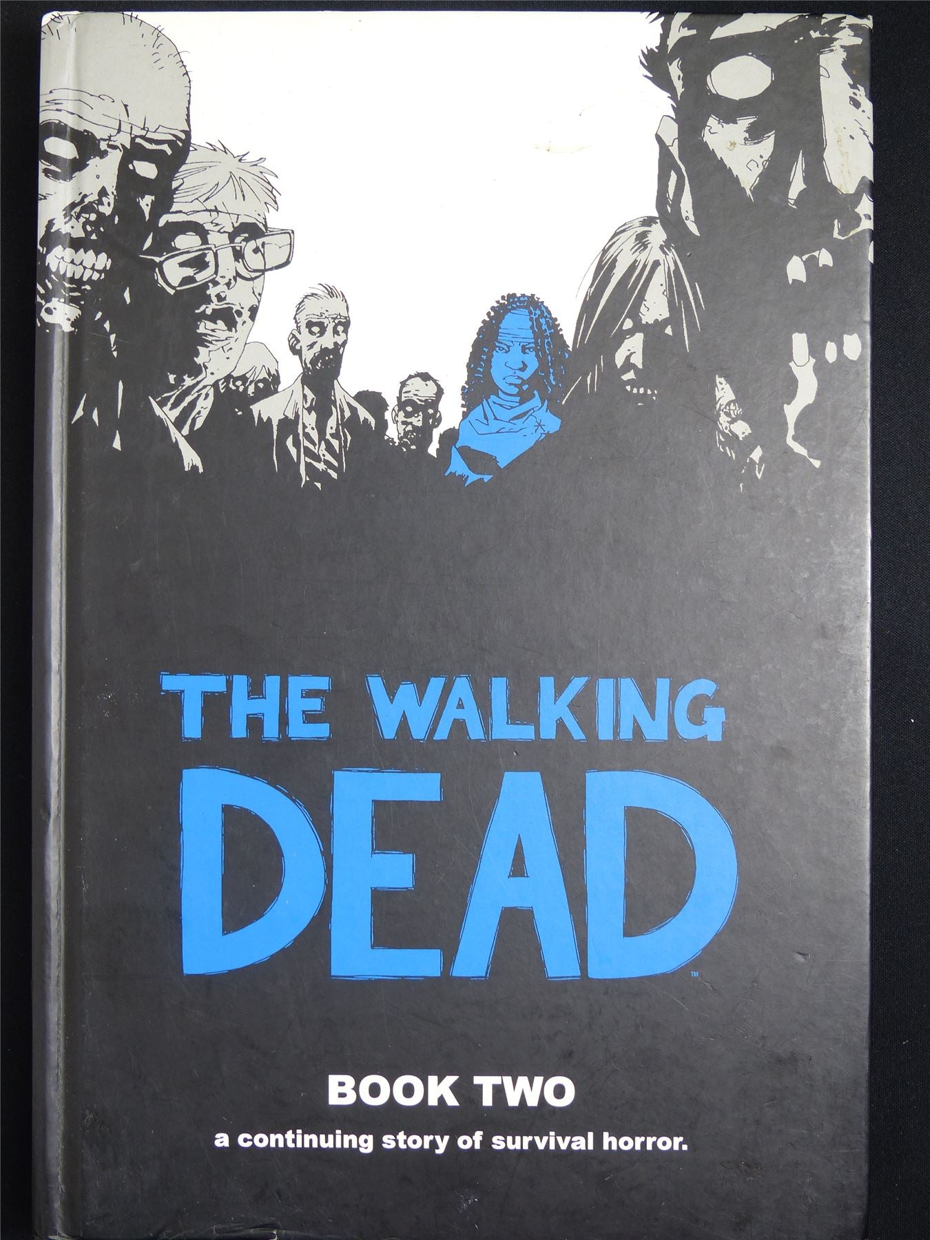 The Walking Dead Book Two - Image Graphic Hardback #2PR