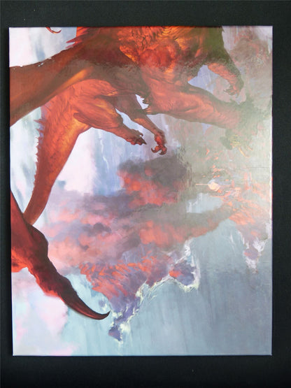 Dungeon Master Screen Dungeons & Dragons #1G1