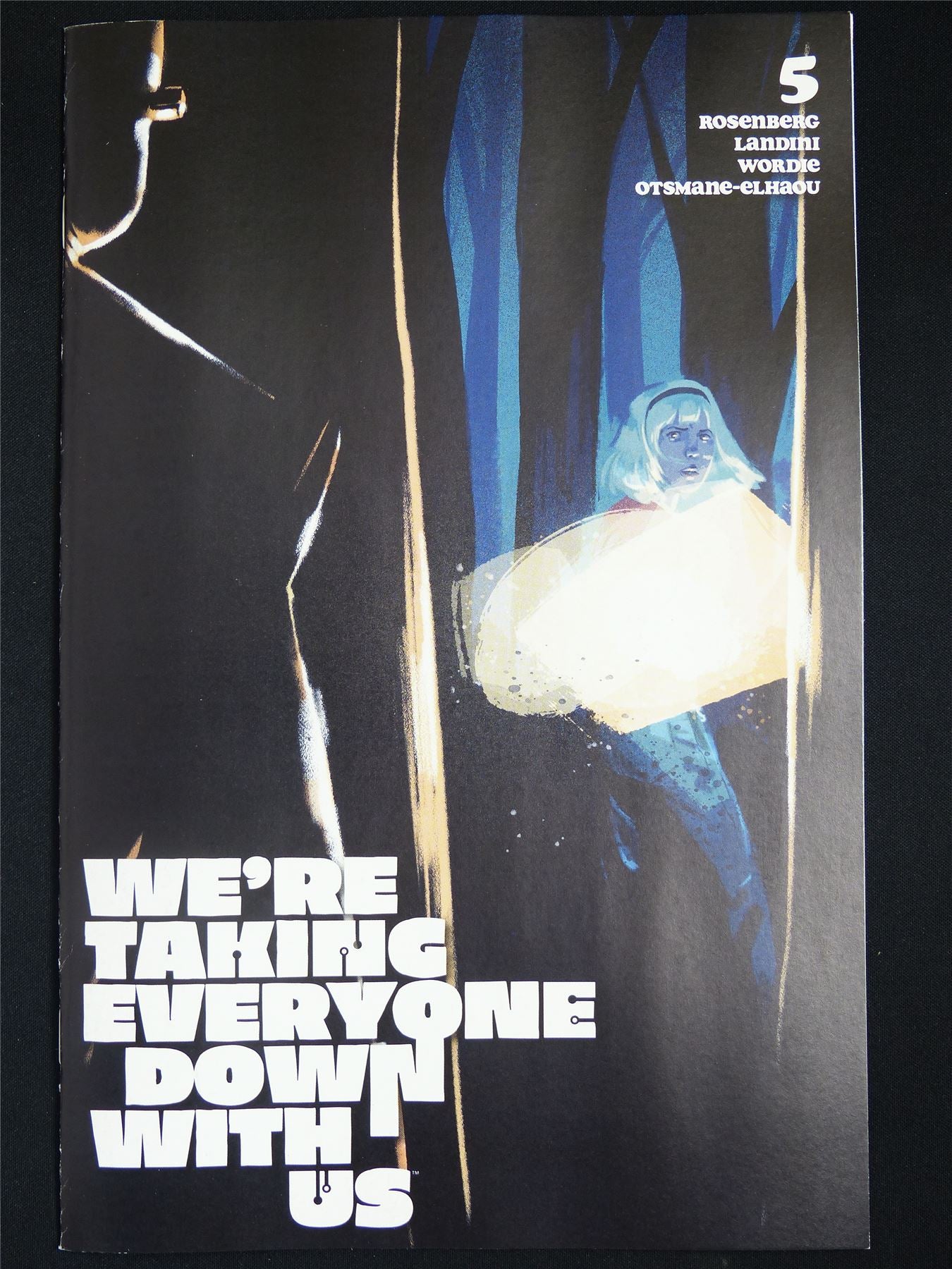 WE'RE Taking Everyone Down With us #5 - Aug 2025 Image Comic #3M1