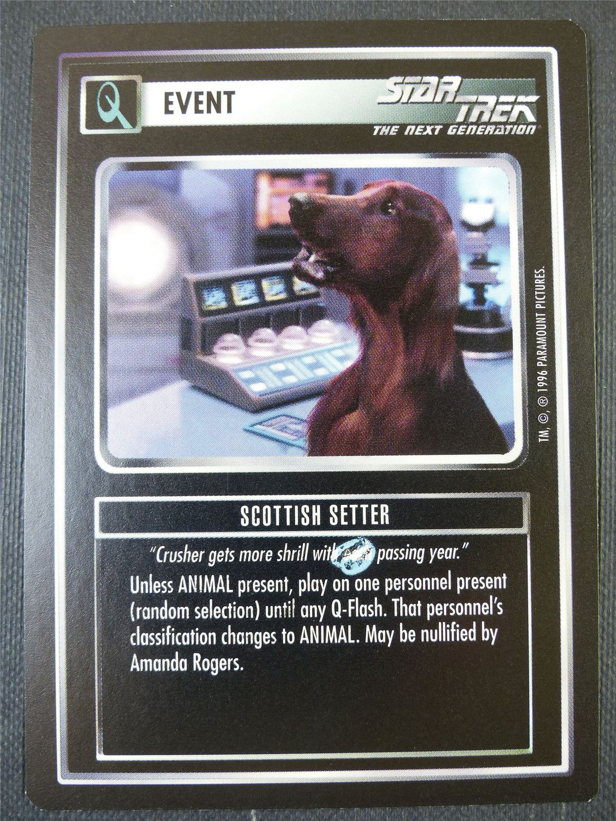 Scottish Setter - NG - Star Trek Card #66O