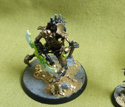 Skorpekh Destroyers Painted - Necrons - Warhammer 40K #1QO