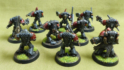 MKII Tactical Squad set of 10 painted - Space Wolves - Warhammer Horus Heresy #4XI