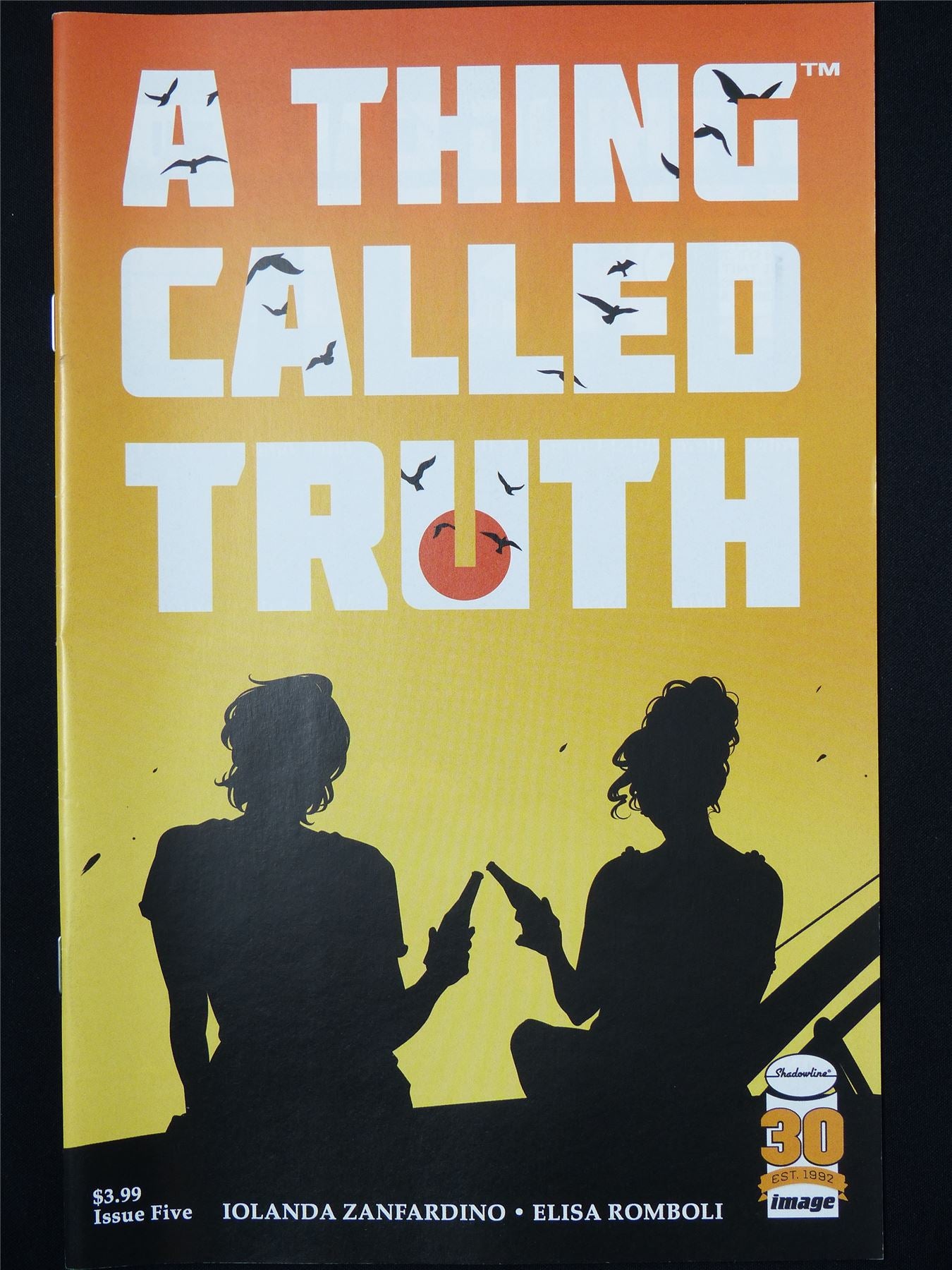 A THING Called Truth #5 Cvr B - B&B Image Comic #7KZ