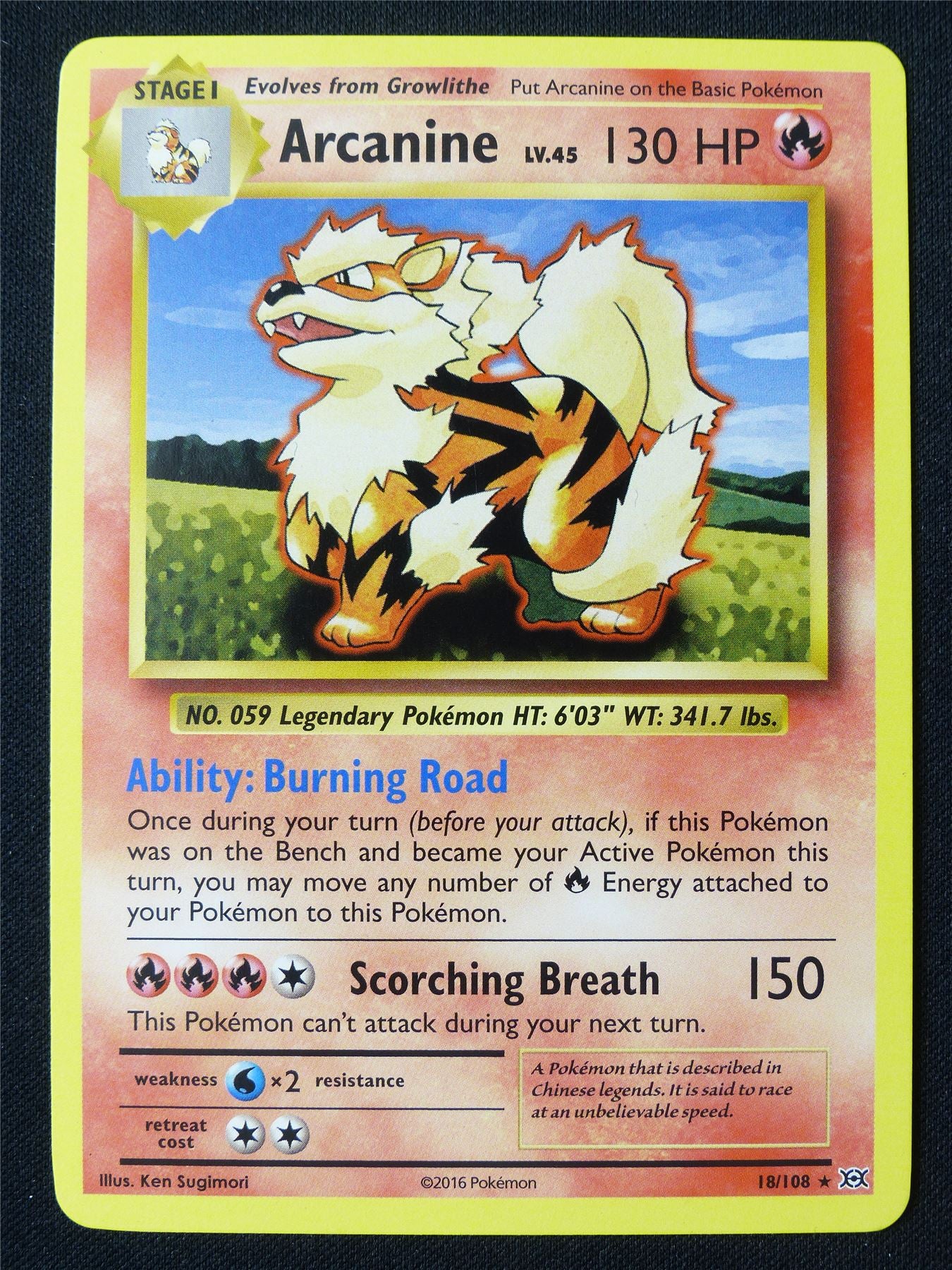 Arcanine 18/108 XY Evolutions - Pokemon Card #1CU