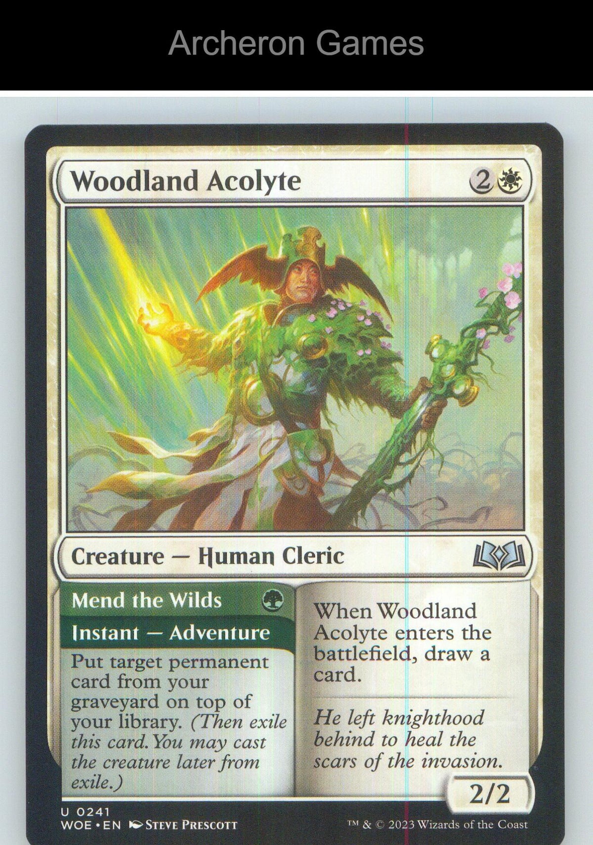 Woodland Acolyte WOE 241 UC MTG Card NM/EX+