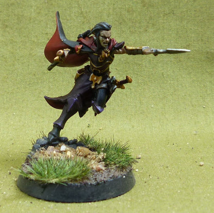 Maleneth Witchblade painted - Daughters of Khaine - Warhammer AoS #KO