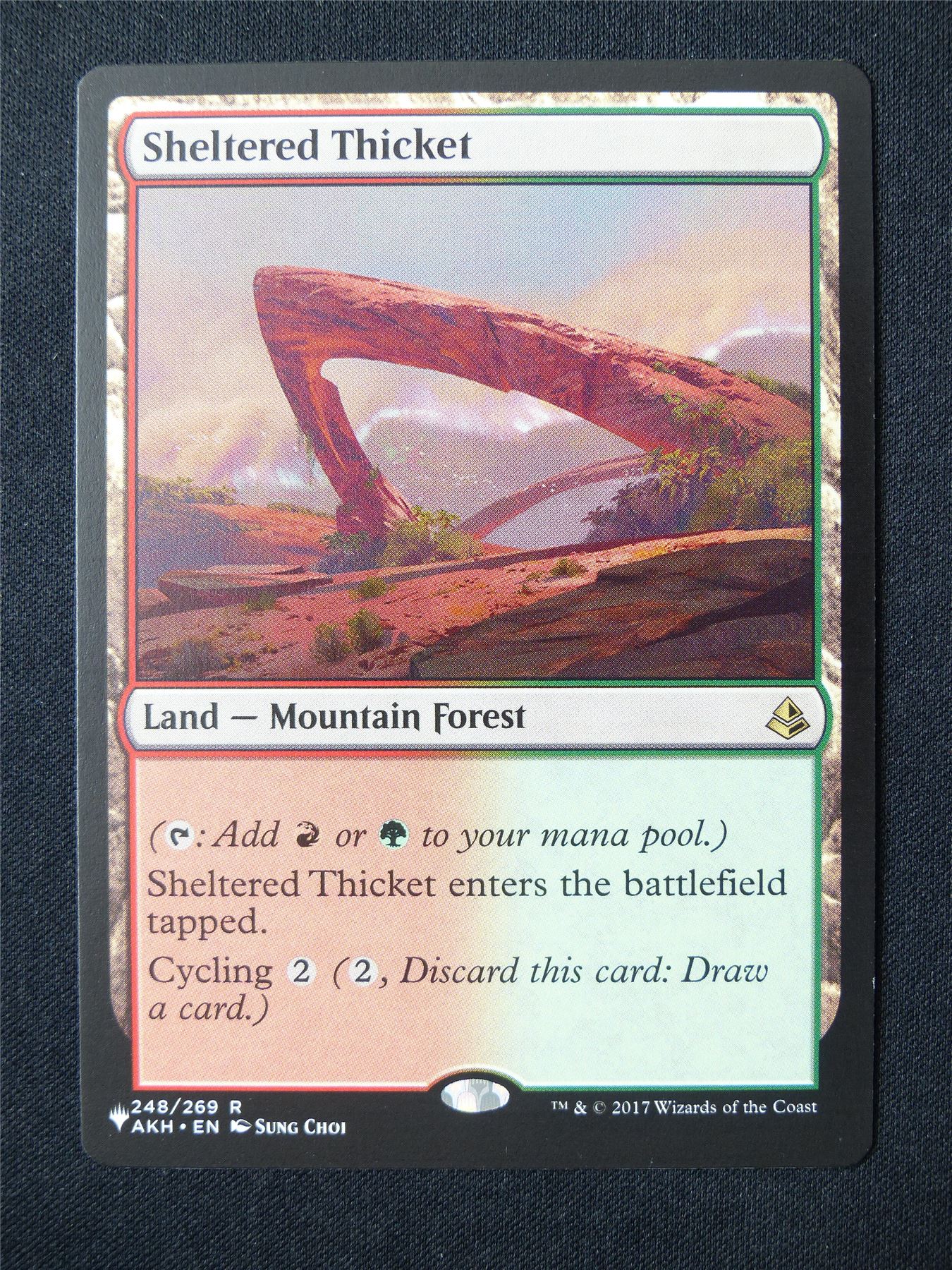 Sheltered Thicet - AKH - Mtg Card #5G1