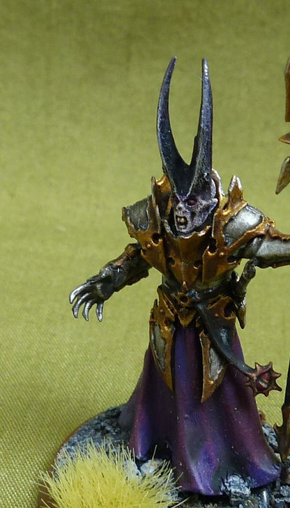 Chaos Sorcerer Lord painted OOP - Chaos - Warhammer AoS #53H