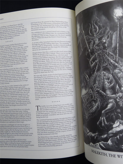 Warhammer Armies: Dark Elves 4th Edition Softback 1996 - Warhammer Old World #1H7
