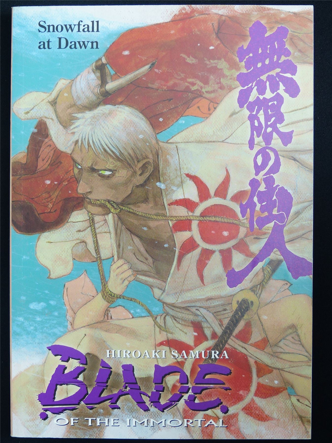 Blade of the Immortal vol 25: Snowfall at Dawn - Dark Horse Manga #55D