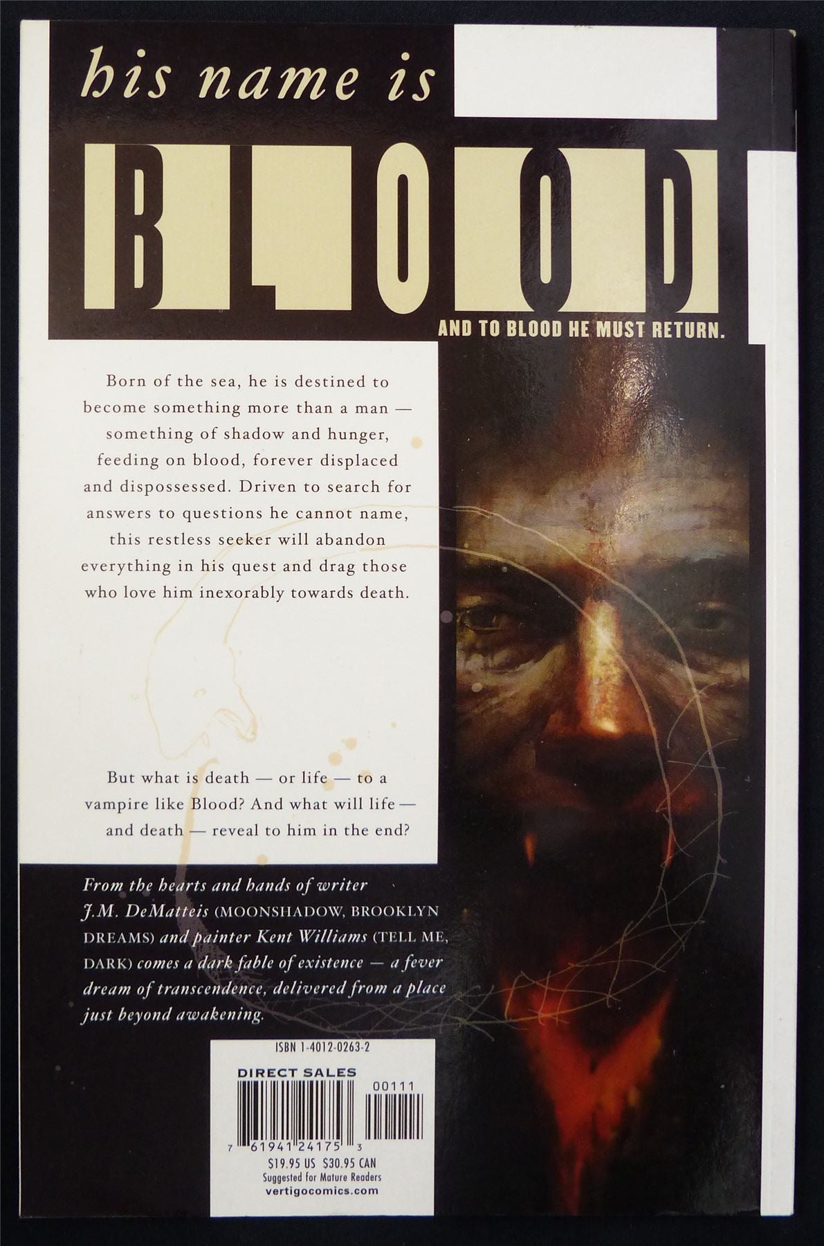 BLOOD a Tale - Vertigo Graphic Softback #28T