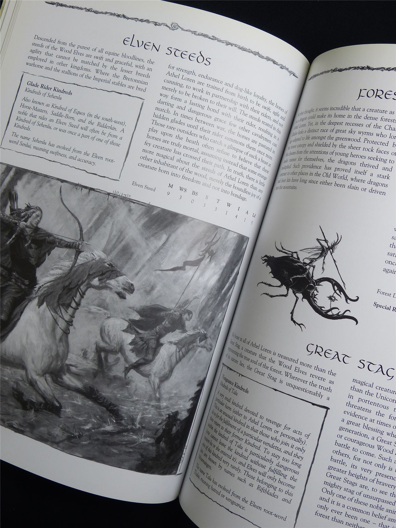 Warhammer Armies: Wood Elves 6th Edition Softback - Warhammer Old World #1HD