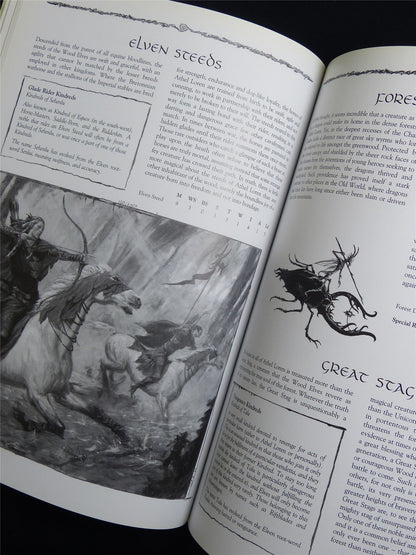 Warhammer Armies: Wood Elves 6th Edition Softback - Warhammer Old World #1HD