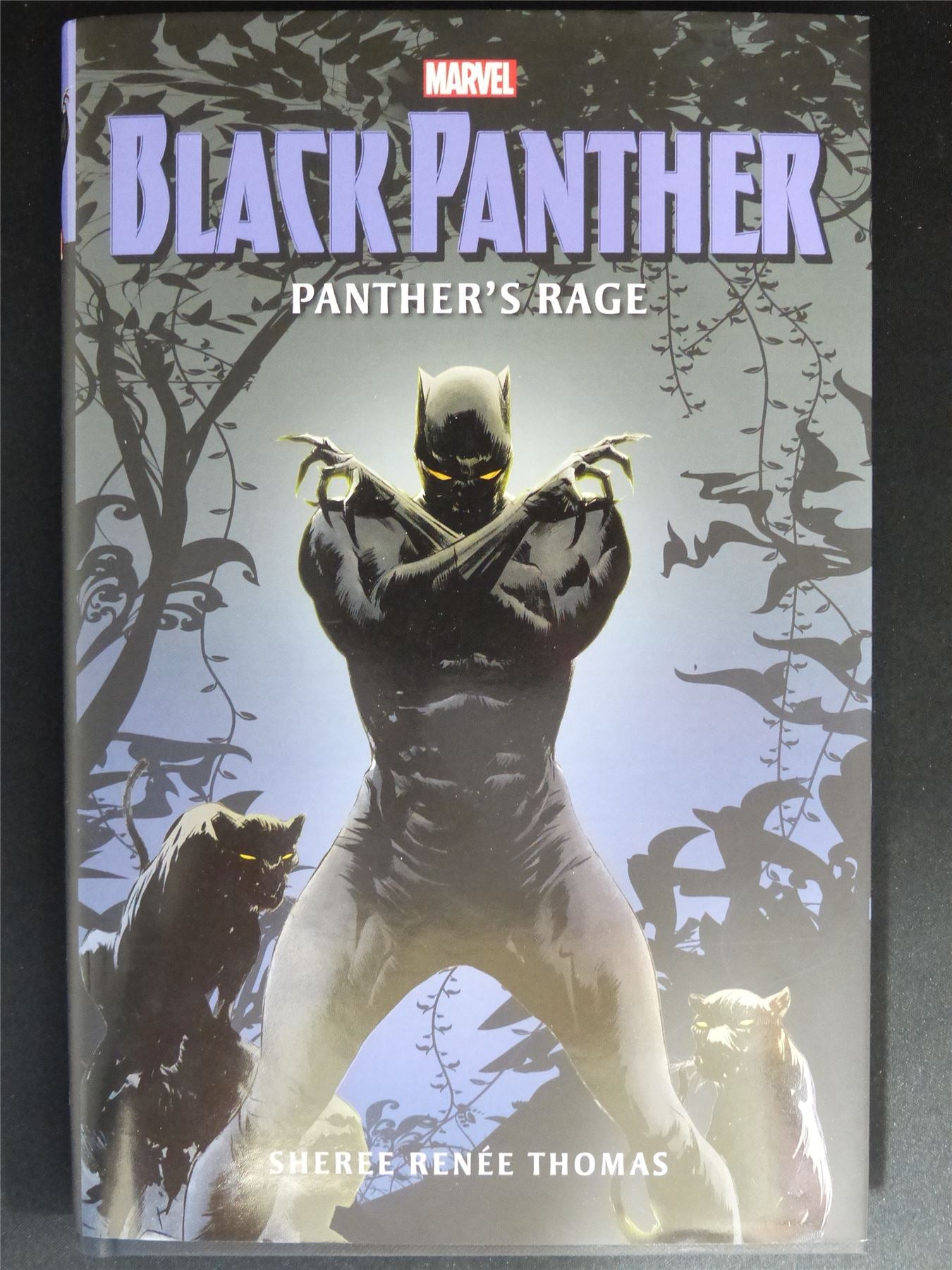 Black Panther: Panther's Rage - Titan Novel Hardback #P2