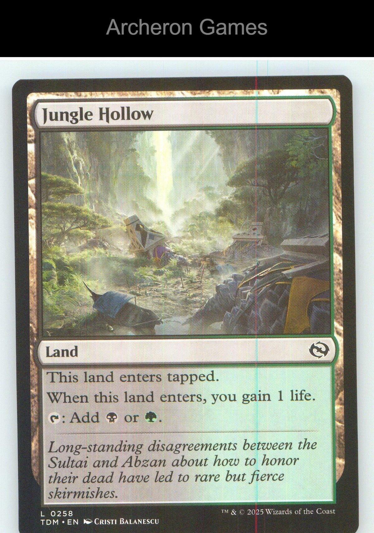Jungle Hollow TDM 258 Land MTG Card NM/EX+