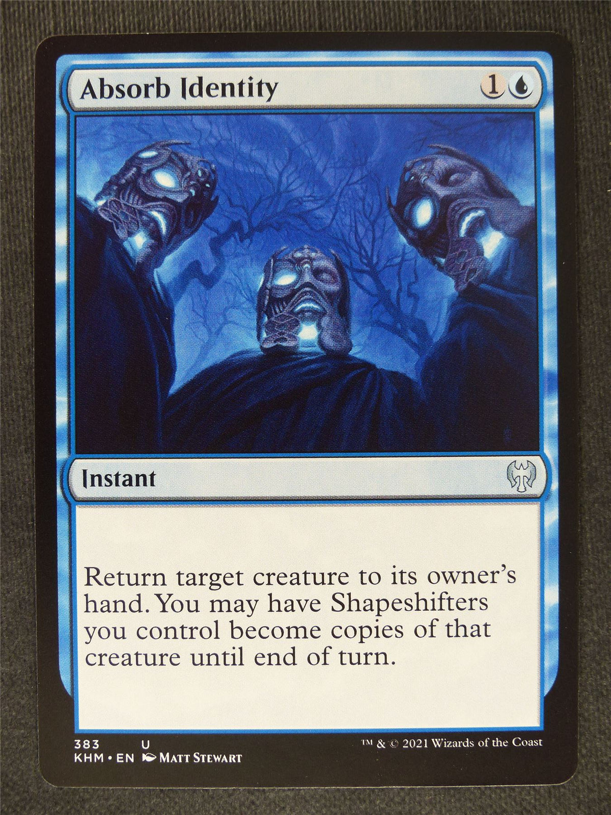 Absorb Identity #M8
