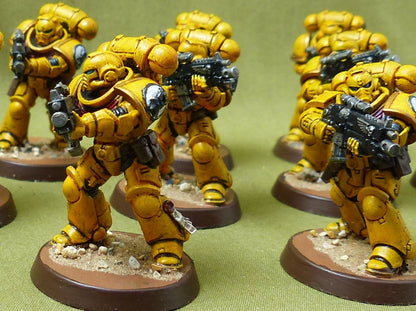 Interceossors painted - Imperial Fist - Warhammer 40K #40Q