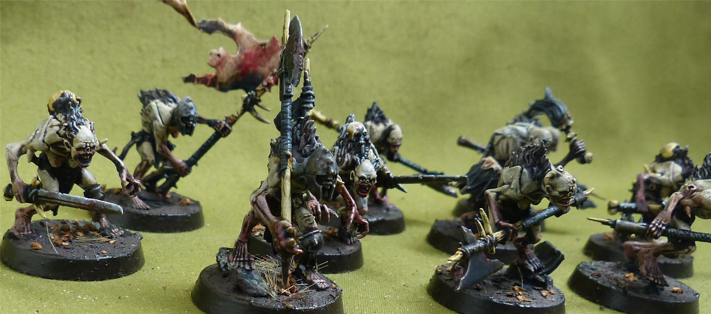 Cryptguard painted - Flesh-Eater Court - Warhammer AoS #5CJ