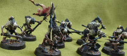 Cryptguard painted - Flesh-Eater Court - Warhammer AoS #5CJ