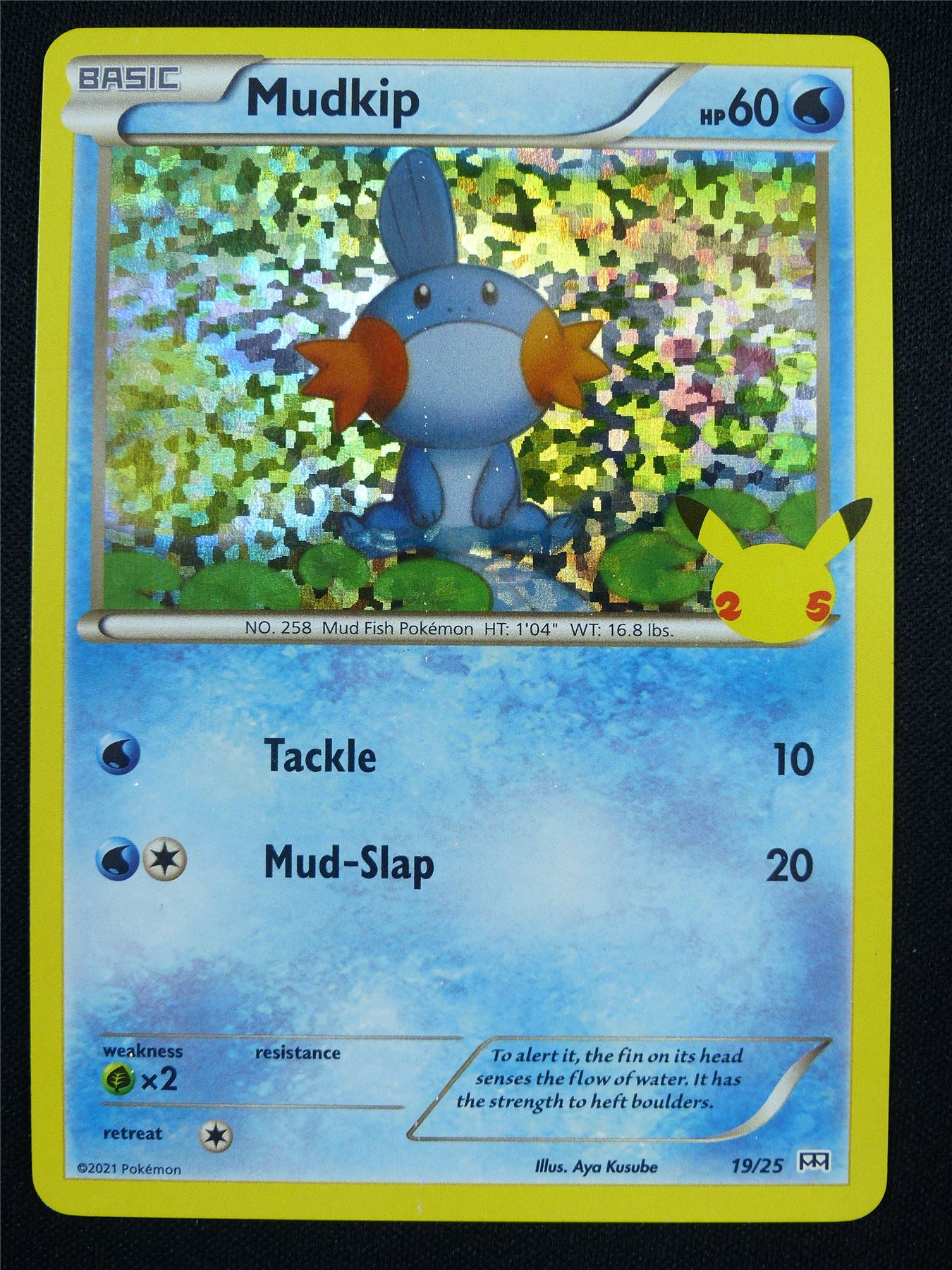 Mudkip 19/25 Holo Promo - Pokemon Card #23J