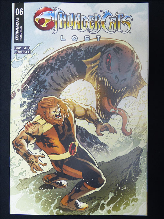 THUNDERCATS: Lost #6 Cvr B - Sep 2025 Dynamite Comic #3WH