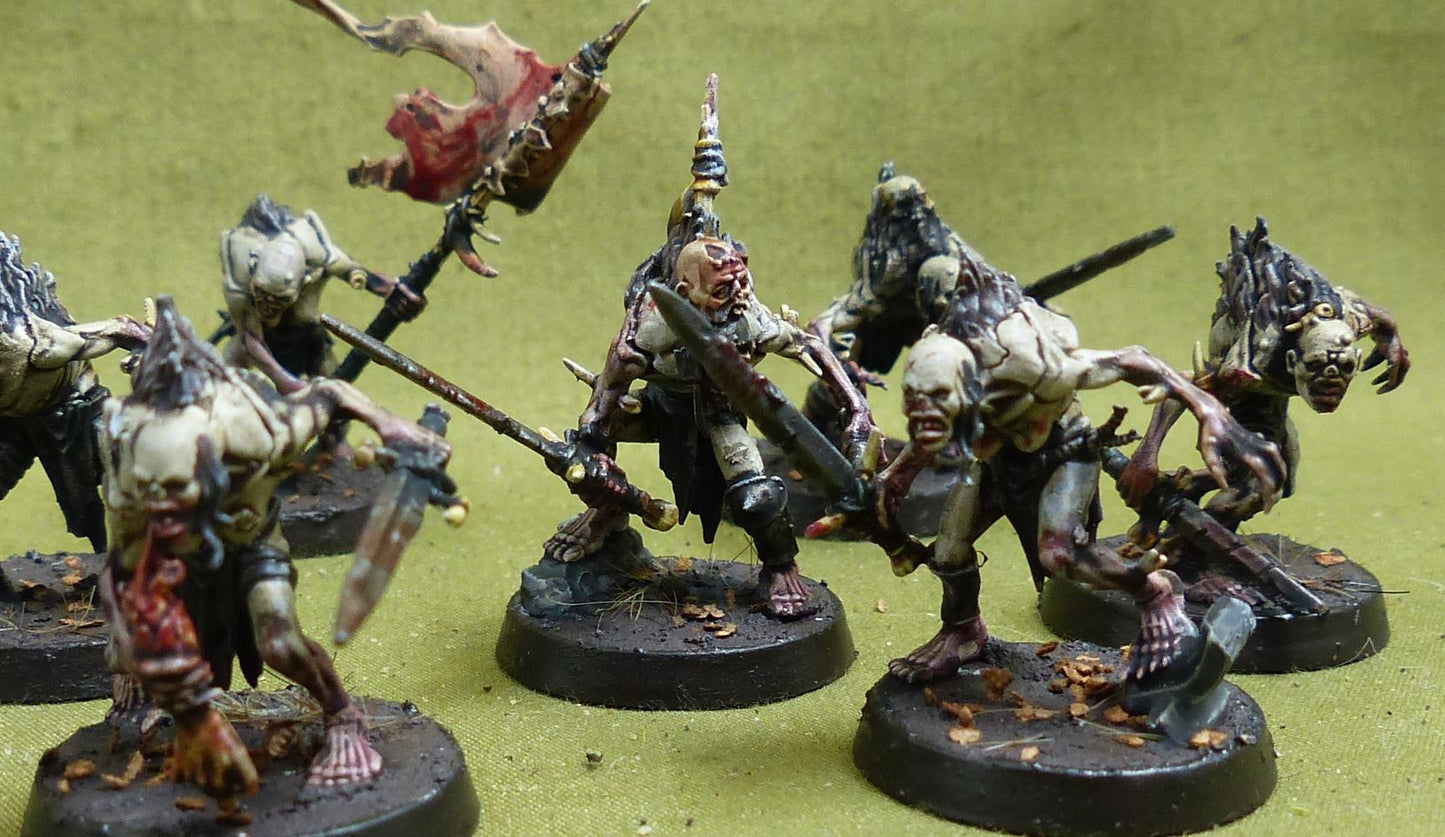 Cryptguard painted - Flesh-Eater Court - Warhammer AoS #5CI