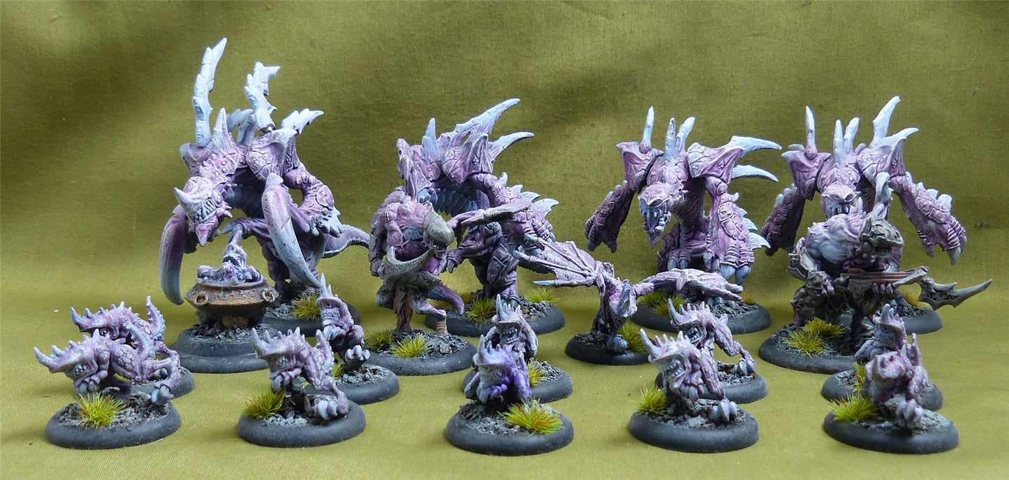 Warmachines / Hordes Xenos Army Metal & plastic painted miniatures #51L