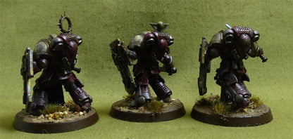 Bladeguard Veterans painted - Space Marines - Warhammer 40K #1BE