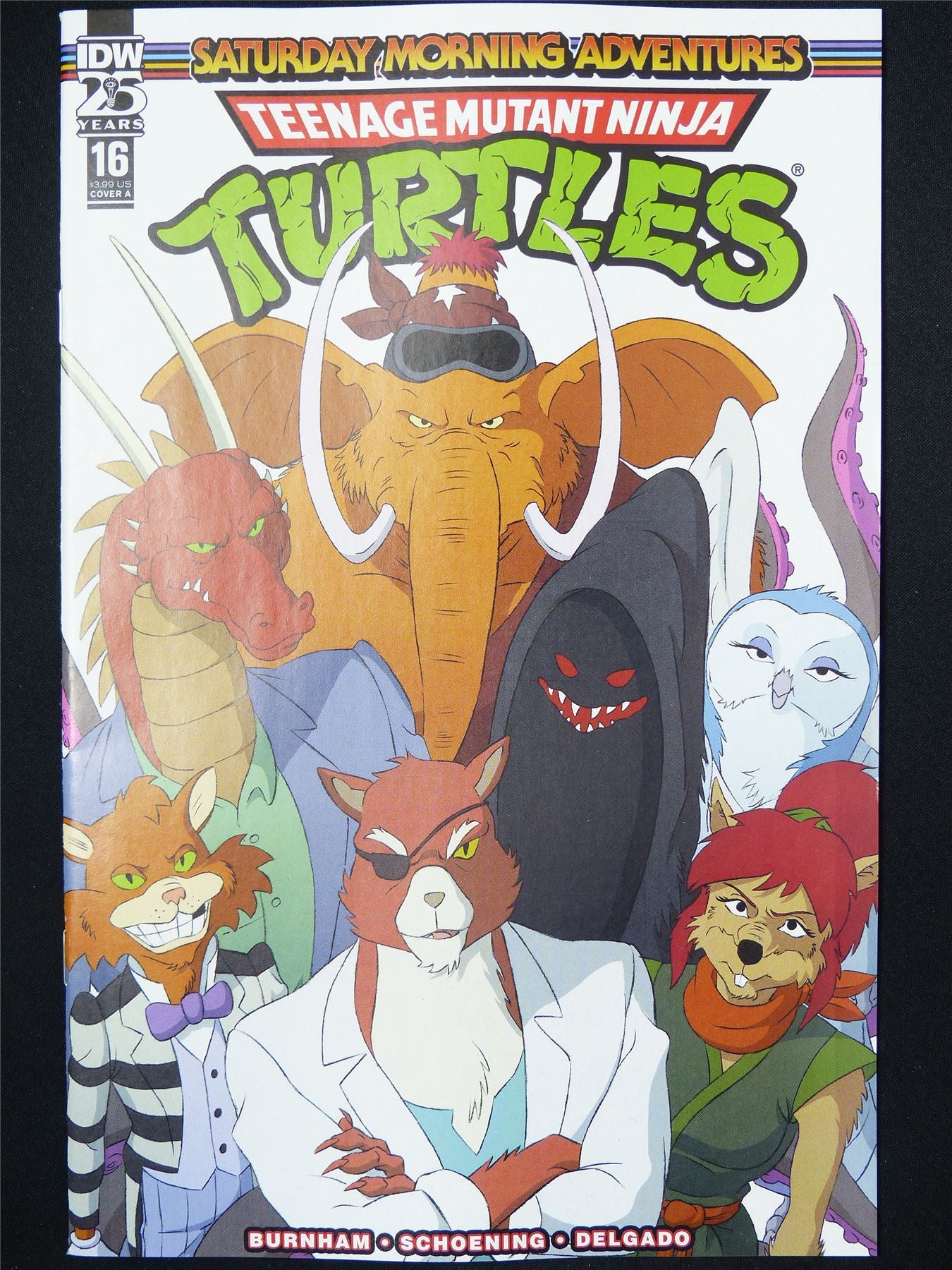 TEENAGE Mutant Ninja Turtles Saturday Monring Adventures #16 - B&B Aug 2024 IDW Comic #YE